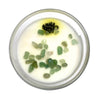 Crystal Candle Pine