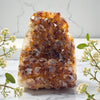 Citrine Geode - 2.9 LBS