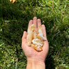 Citrine Raw Points