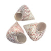 Three Cone Shaped Top Natural shells with red and white pattern on a white background