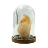 Crystal Bubble Citrine