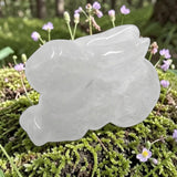 Clear quartz bunny on a green mossy surface with small purple flowers