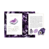 Crystal Companions Book
