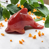 Carnelian dolphin-shaped crystal on a white surface with green leaves and orange flowers.
