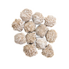 Desert Rose