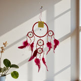 Red and pink dreamcatcher hanging on a white wall with a plant in the corner.