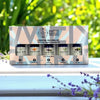 Earth's Elements Wellness essential oils mini set with bottles in a box against a natural background.