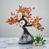 Carnelian Large Tree
