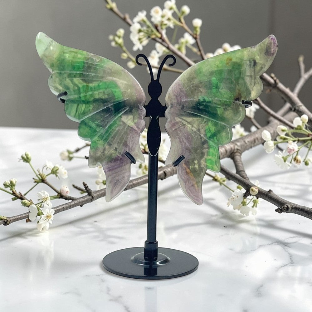 Fluorite Wings on a Black Stand