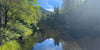 nature / lake in Idyllwild