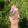 Lemurian Quartz Raw