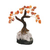 Feng Shui Carnelian Crystal Tree