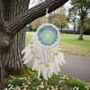 Dreamcatcher hanging from a tree in an outdoor setting with grass and trees in the background.