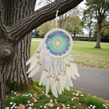 Dreamcatcher hanging from a tree in an outdoor setting with grass and trees in the background.