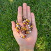 Mookaite Bracelet 8mm