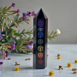 Black crystal tower with colorful symbols on a light surface with flowers and plants.