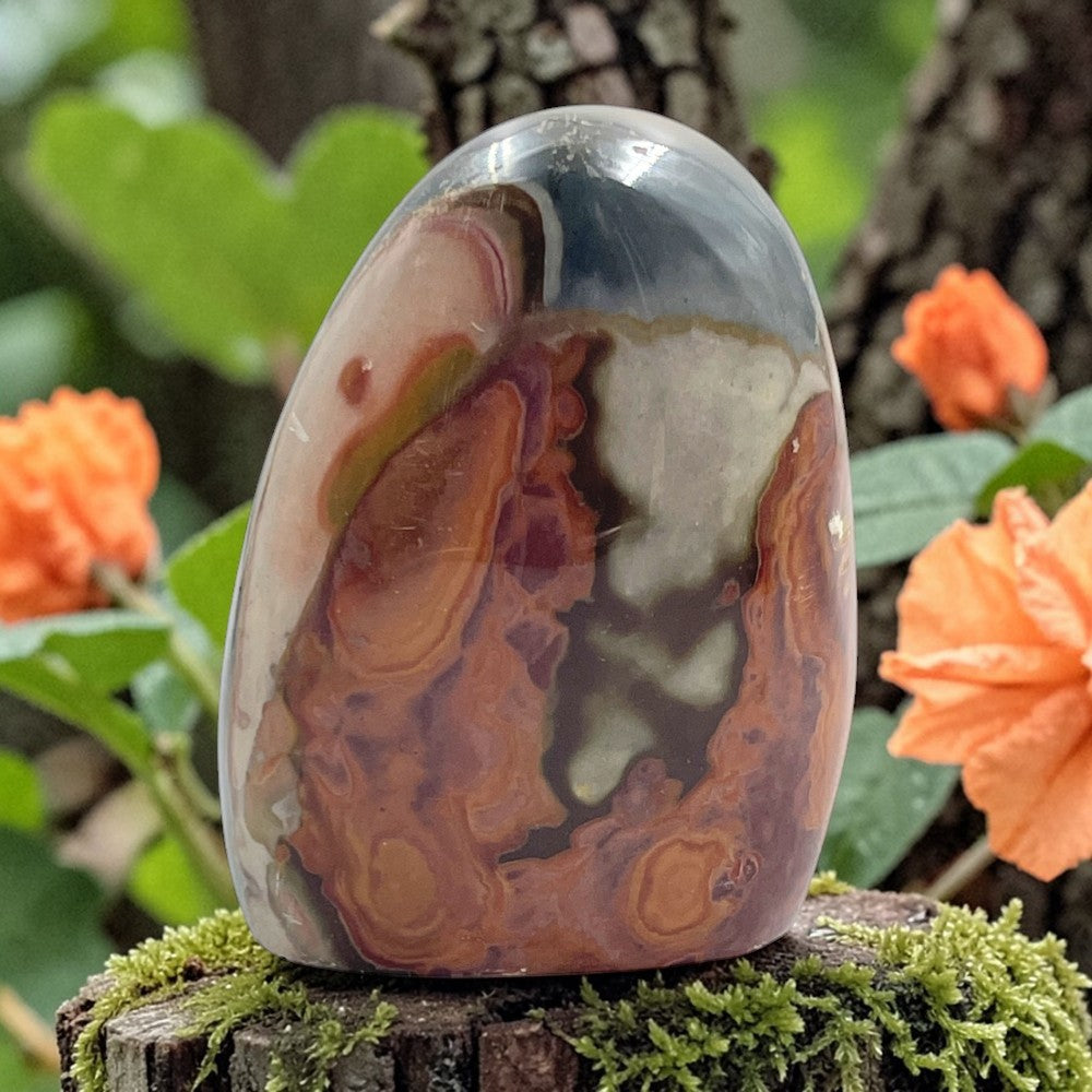 Polychrome Jasper Free Form
