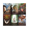 Sacred Rebels Oracle