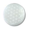 Selenite Flower Of Life Coaster