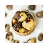 Septarian Jasper Mini Heart