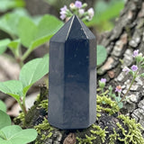 Shungite Point
