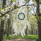 Dreamcatcher hanging from a tree branch with flowers in a park setting