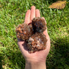 Star Aragonite Cluster Large
