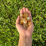 Citrine - Tumbled in a hand above green grass