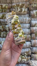 Sage Bundle - White & Gold Sinvata