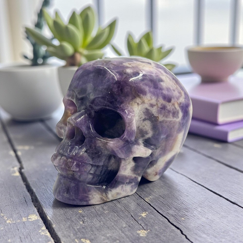 Purple and white stone skull on a wooden surface with plants in the background