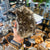 large smoky quartz crystal