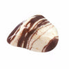 Zebra Jasper Tumbled