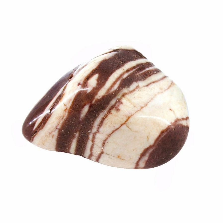 Zebra Jasper Tumbled | Earths Elements