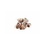 Zebra Jasper Tumbled